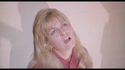 Twin Peaks: The Missing Pieces