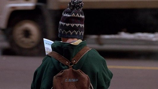 Home Alone 2: Lost in New York