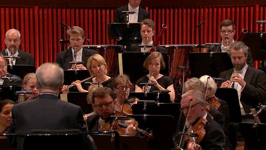 Beethoven: The Symphonies (Rafael Frühbeck de Burgos Conducts the Danish National Symphony Orchestra)