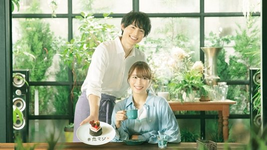 恋なんて、本気でやってどうするの？
