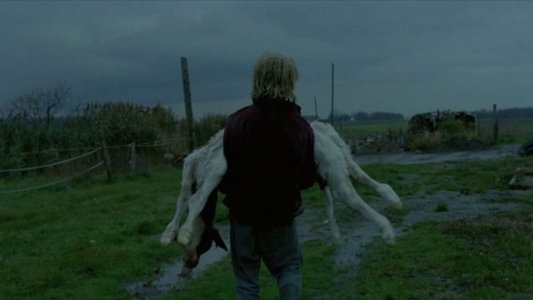 Tom à la ferme