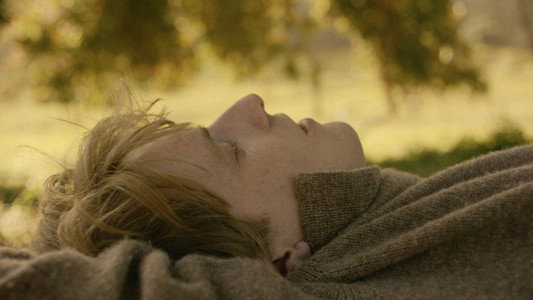 Lilies Not for Me
