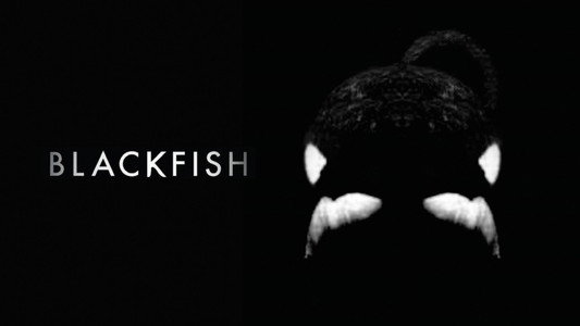 Blackfish