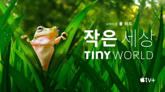 Tiny World