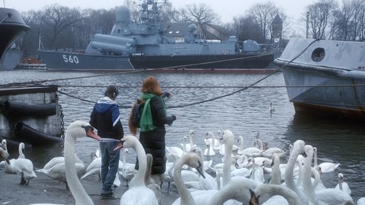 Шаги