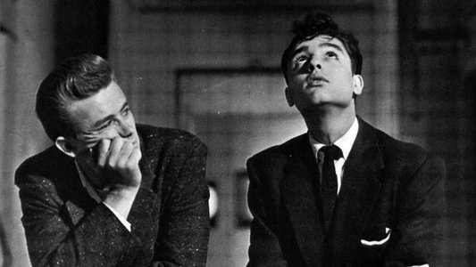 Rebel Without a Cause
