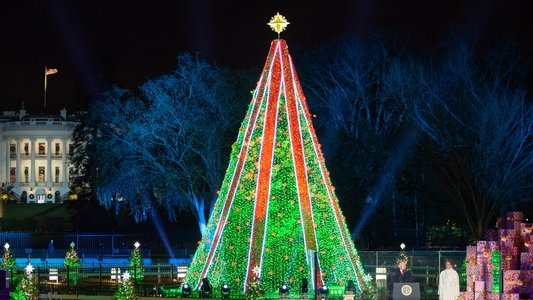 The National Christmas Tree, A Century of Celebration