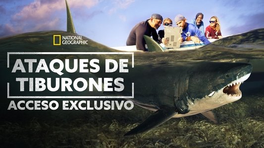 Shark Attack Files