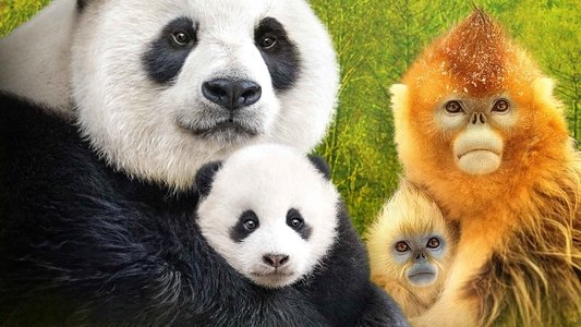 Expedition China