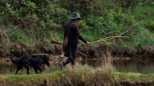 Sense and Sensibility