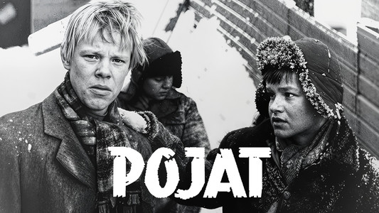 Pojat