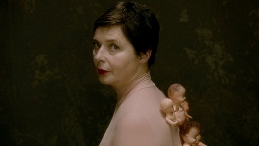 Mammas