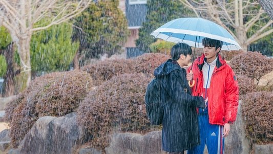 태권도의 저주를 풀어줘