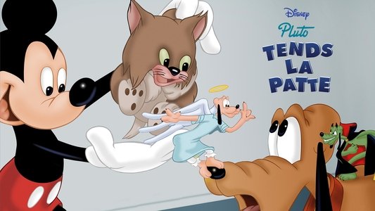 Lend a Paw