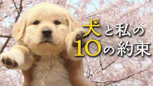 犬と私の10の約束