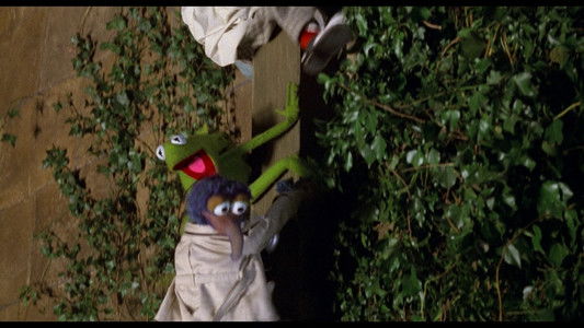 The Great Muppet Caper