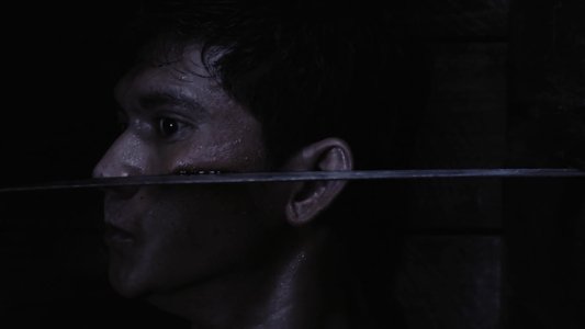 The Raid 2: Berandal