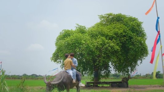 หวานใจผู้ใหญ่จอม