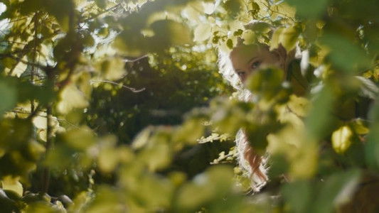 The Magic Faraway Tree