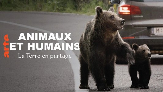 Wildnis 2.0 - Die Tierwelt auf Umwegen