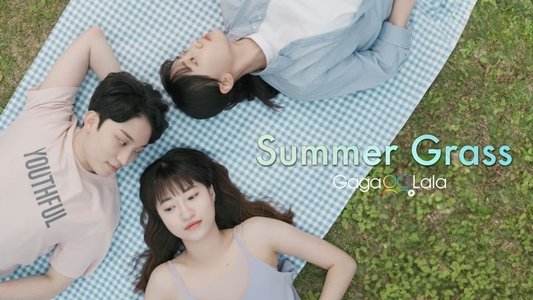 잎의 여름
