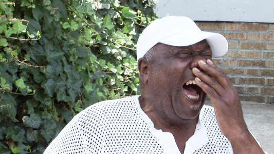 Auf der Suche nach dem Gedächtnis