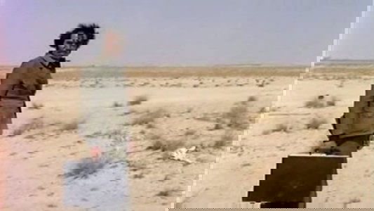 ذئاب لا تاكل اللحم‎