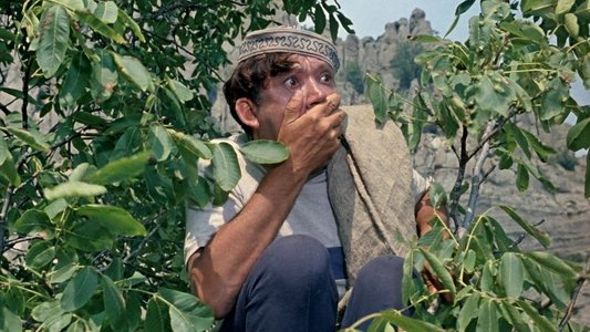 Кавказская пленница, или Новые приключения Шурика