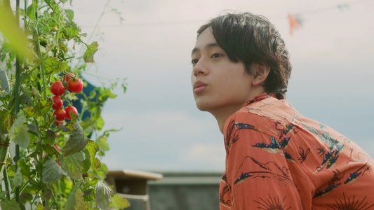 君のことだけ見ていたい