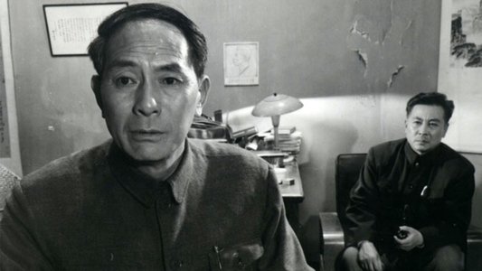 失去记忆的人
