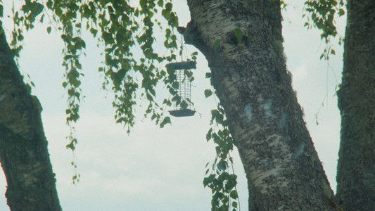 Du slår meg som en kul fyr