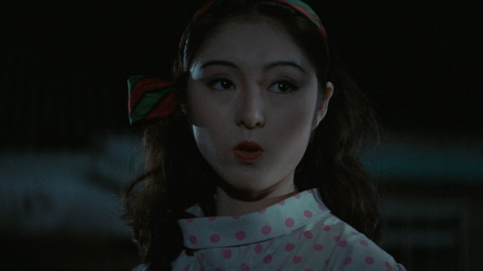 江戸川乱歩全集　恐怖奇形人間