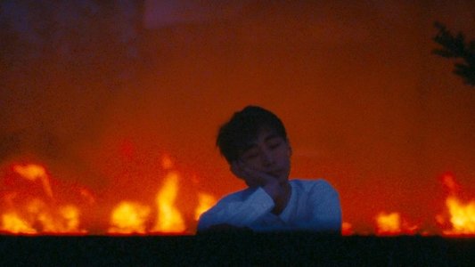 アンモナイトのささやきを聞いた