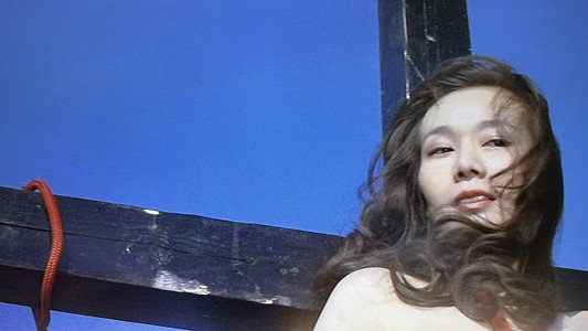 ズームアップ　ビニール本の女