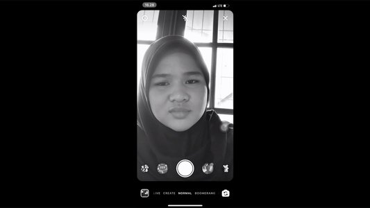 The Virtual Life