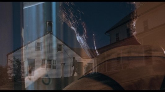 Witness