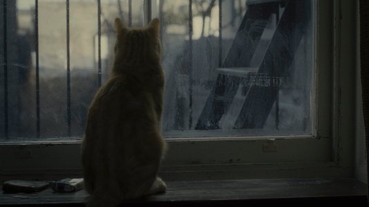 Inside Llewyn Davis