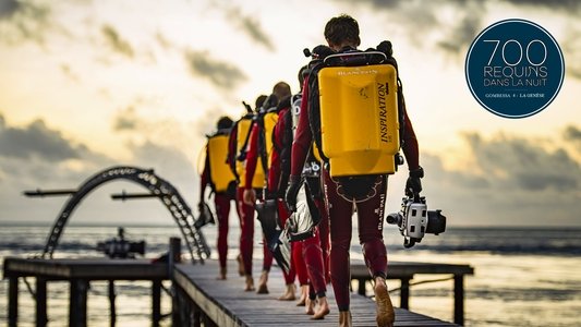 700 requins dans la nuit  (Gombessa 4, la genèse)