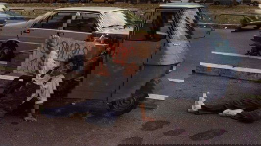 Al limite, cioè non glielo dico