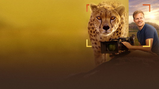 Cheetahs Up Close with Bertie Gregory