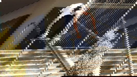 'Heaven's Gate' by Zero Skateboards