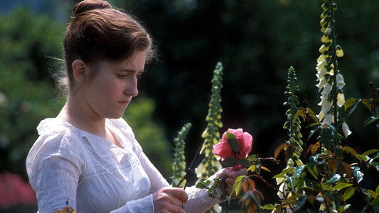 Mansfield Park