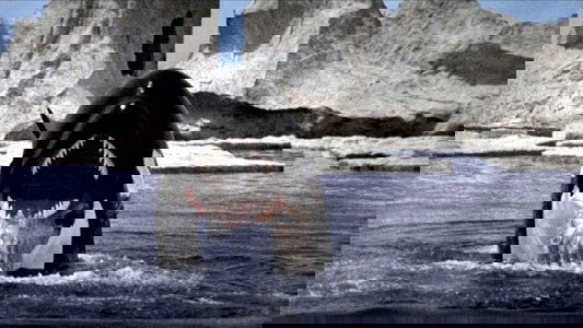 Orca