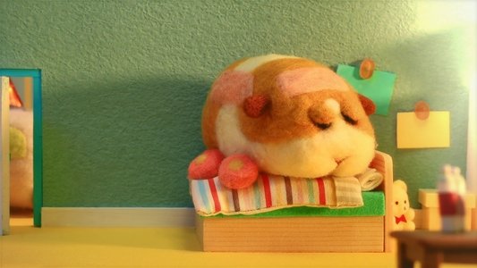 PUI PUI モルカー
