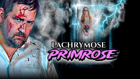 Lachrymose Primrose
