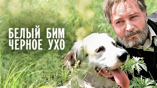 Белый Бим Чёрное ухо