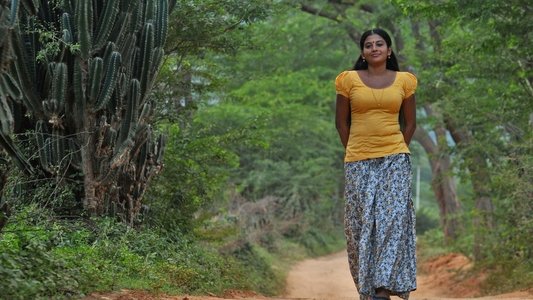 நெடுஞ்சாலை