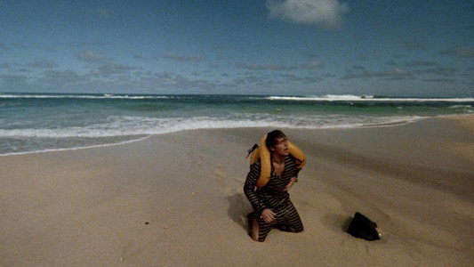 Surrender in Paradise