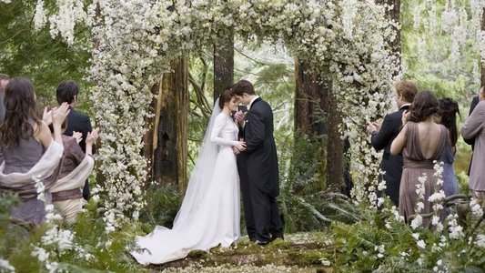 The Twilight Saga: Breaking Dawn - Part 1