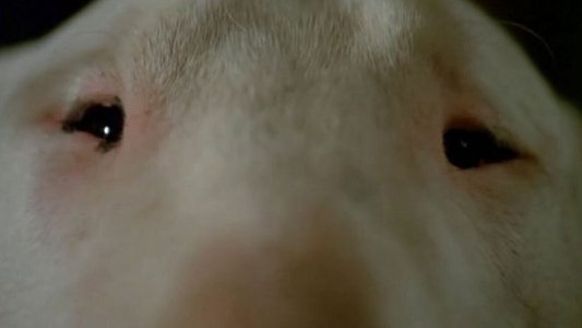 Baxter